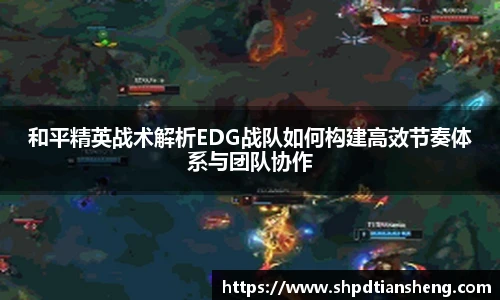 im电竞和平精英战术解析EDG战队如何构建高效节奏体系与团队协作